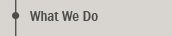 what we do